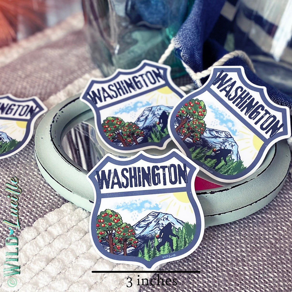 Destination Washington - Vinyl Souvenir Sticker Decals